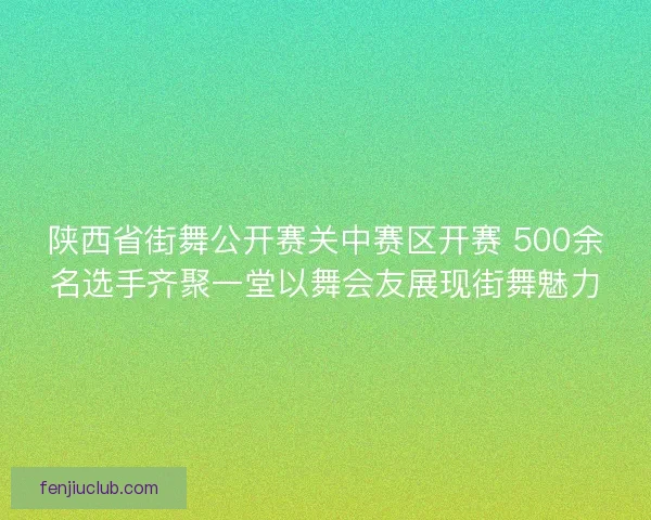 陕西省街舞公开赛关中赛区开赛 500余名选手齐聚一堂以舞会友展现街舞魅力